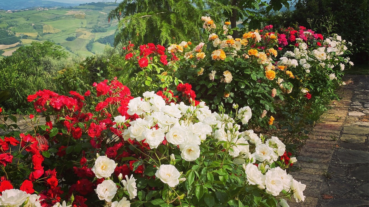 Photo of Outdoor in Piana Romana Farm