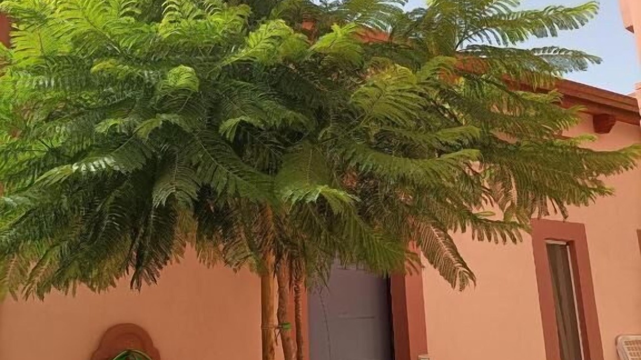 Photo of Outdoor in Oristano Historic Centre