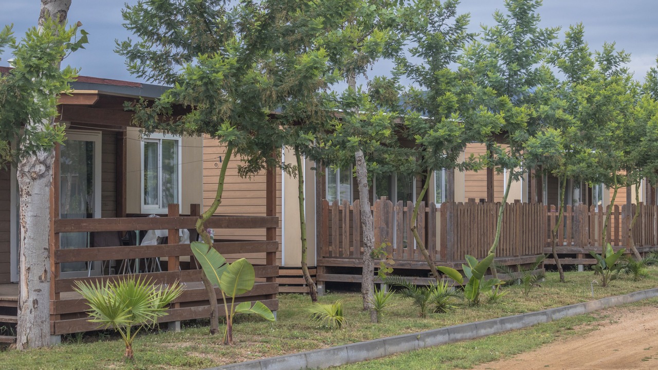 Photo of Outdoor in Girasole