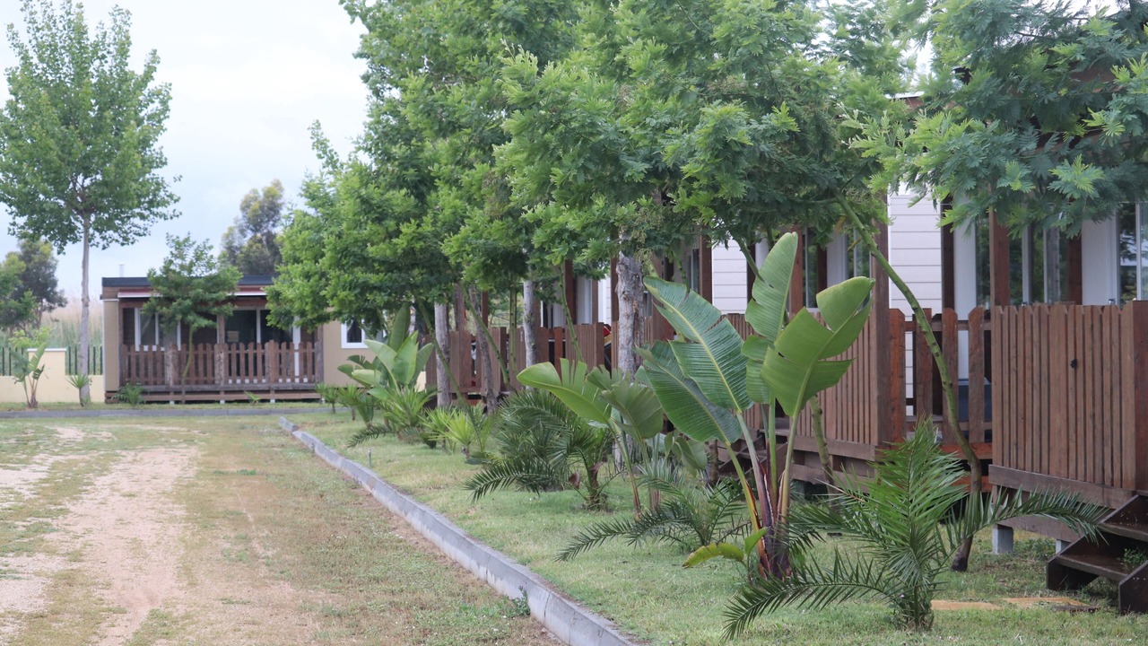 Photo of Outdoor in Girasole