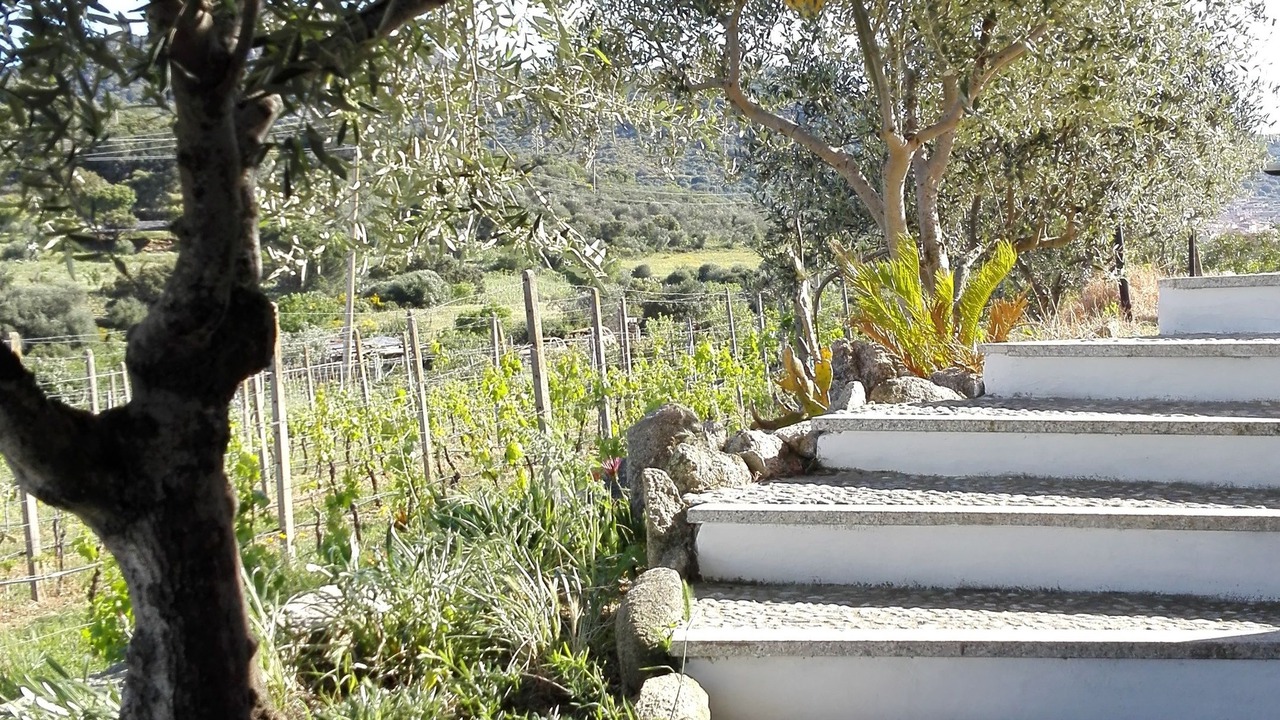Photo of Outdoor in Berchidda