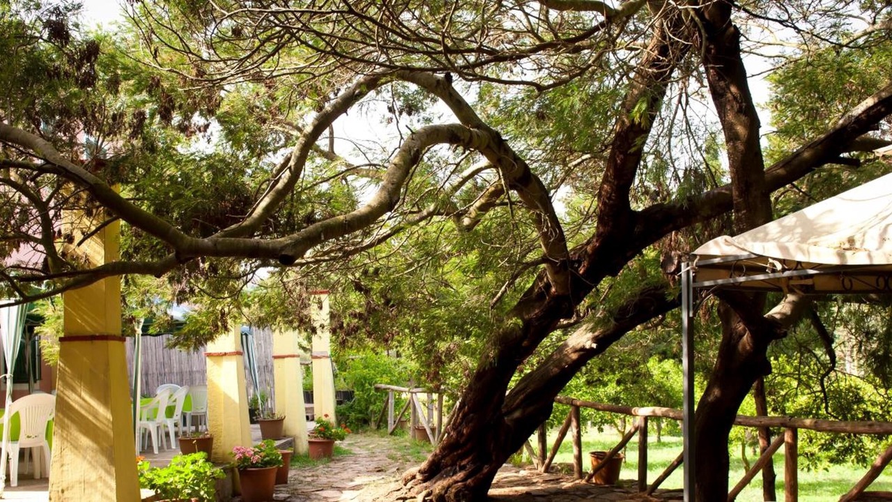 Photo of Outdoor in Villagrande Strisaili