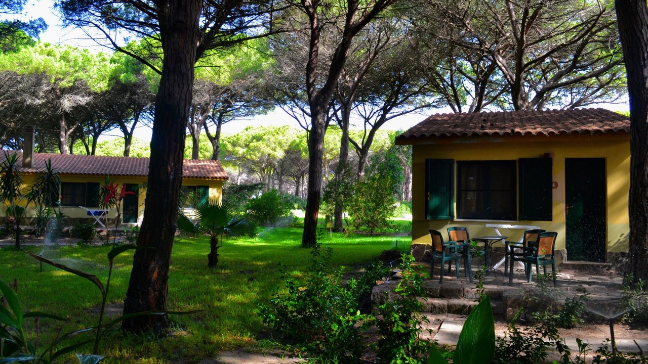 Photo of Outdoor in Arborea