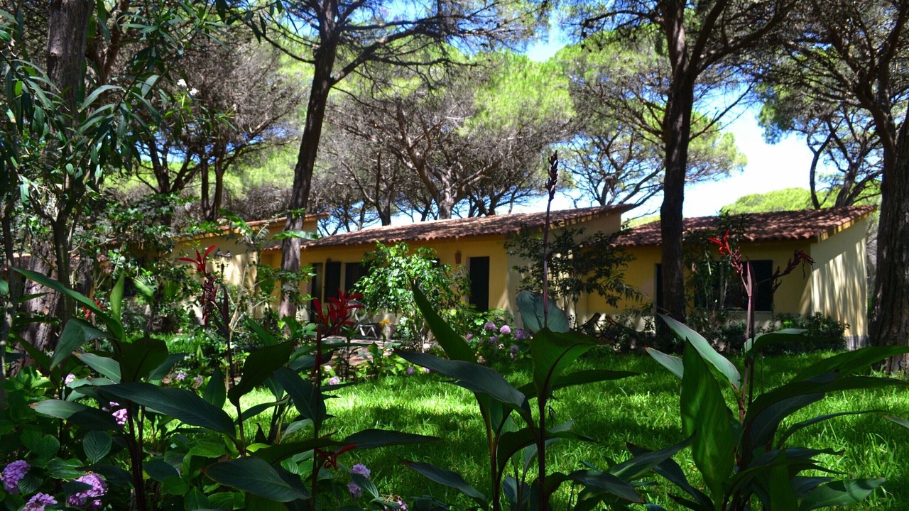 Photo of Outdoor in Arborea