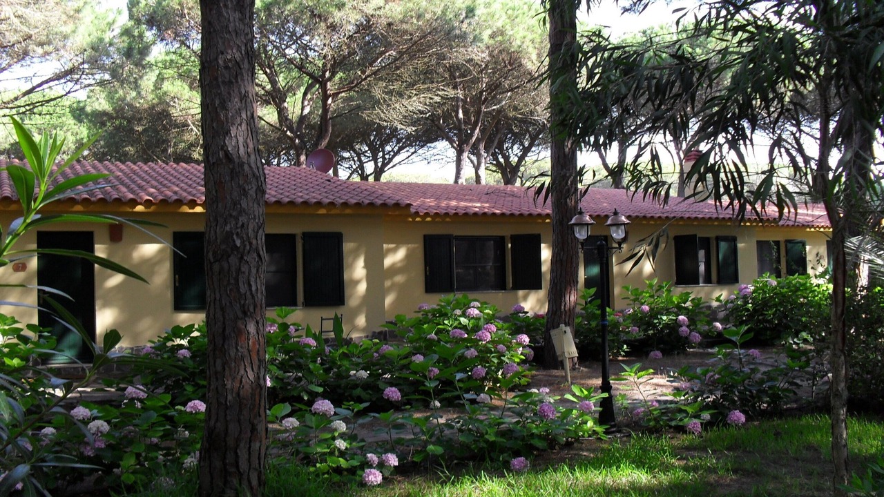 Photo of Outdoor in Arborea