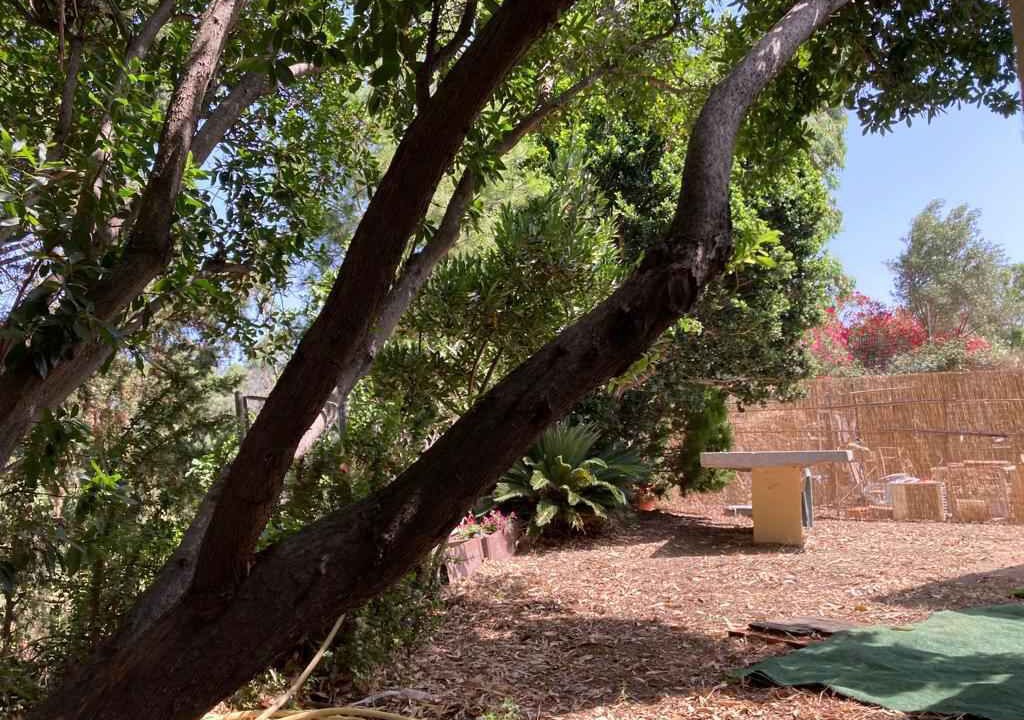 Photo of Outdoor in Torpe