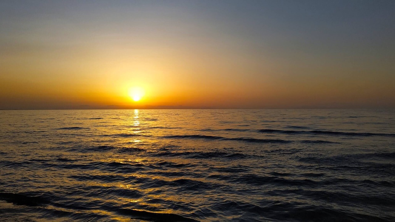 Photo of Others in Eden Beach