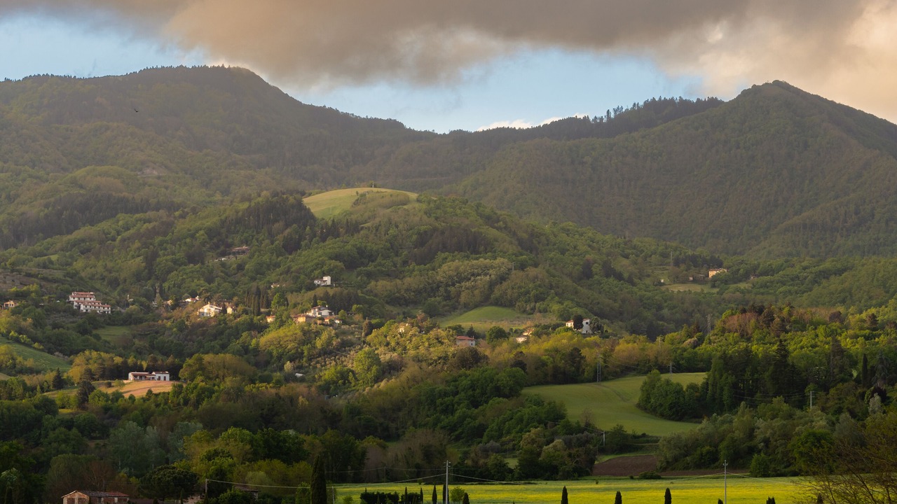 Photo of Outdoor in Montebonello