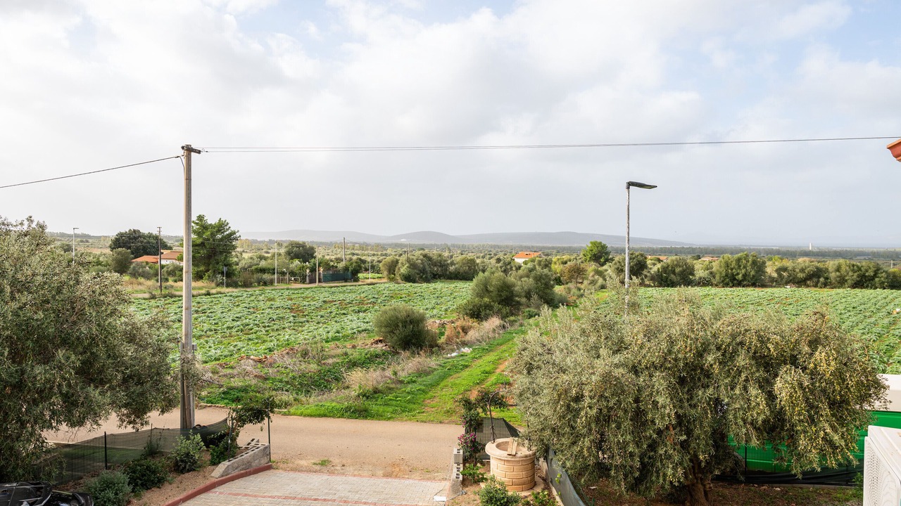 Photo of Others in Masainas