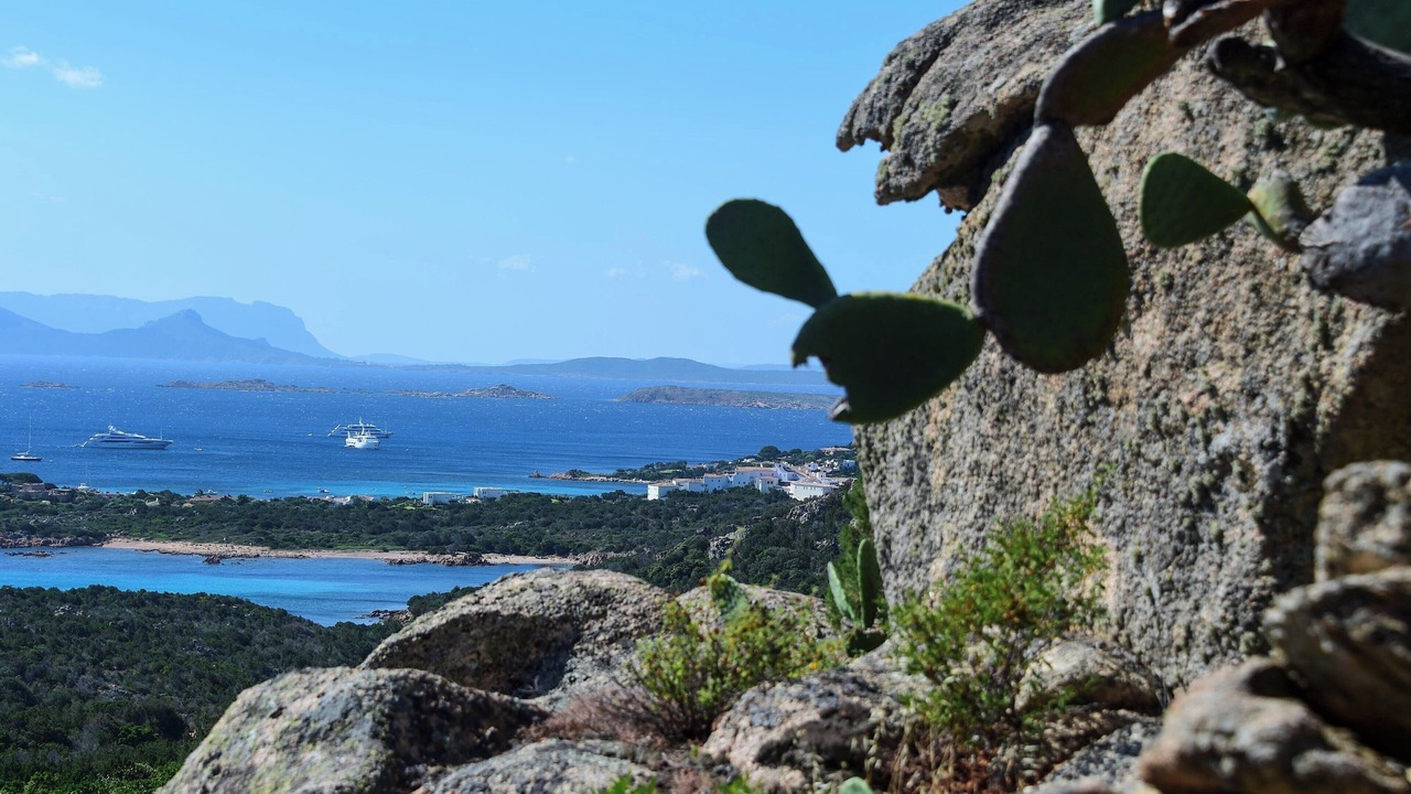 Photo of Others in Porto Cervo