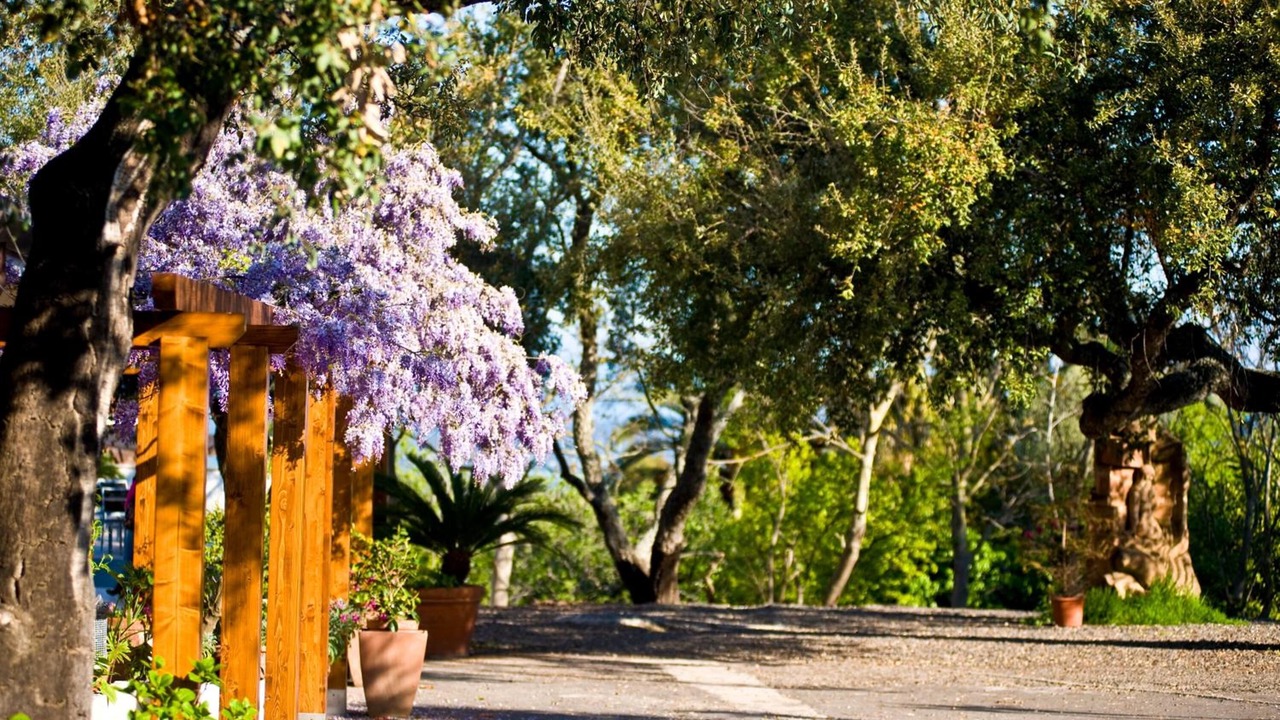 Photo of Outdoor in Dorgali