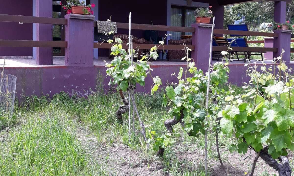 Photo of Outdoor in Sedini