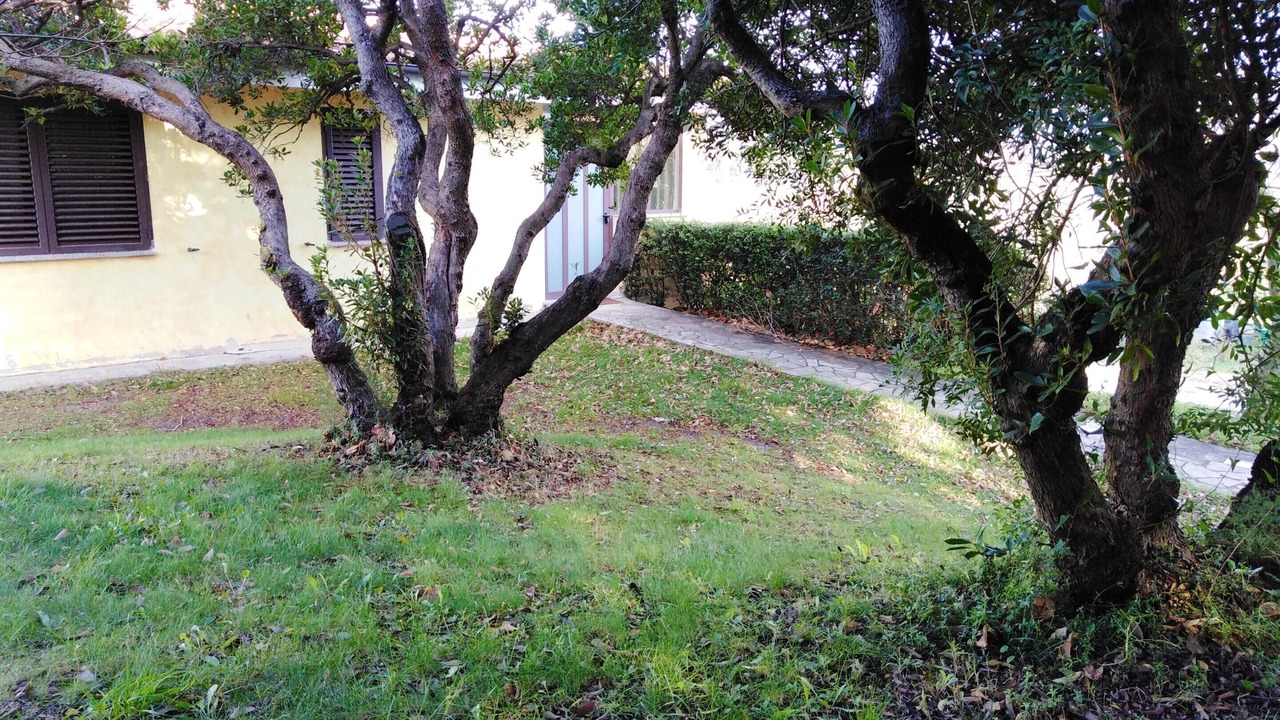 Photo of Outdoor in Elini