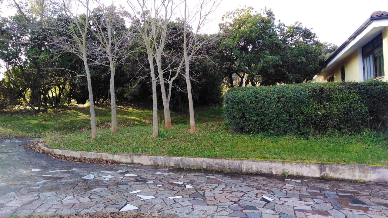 Photo of Outdoor in Elini