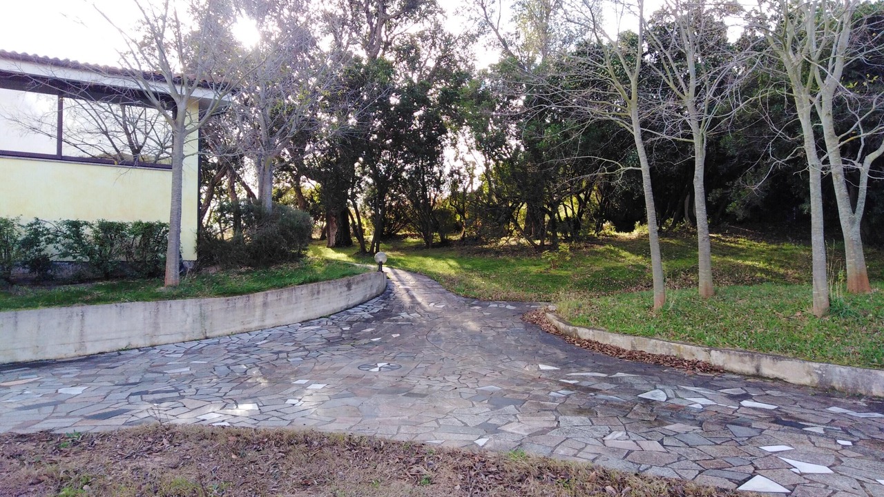 Photo of Outdoor in Elini