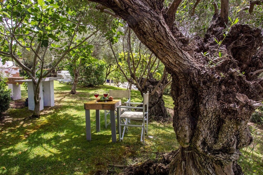 Photo of Outdoor in Castiadas