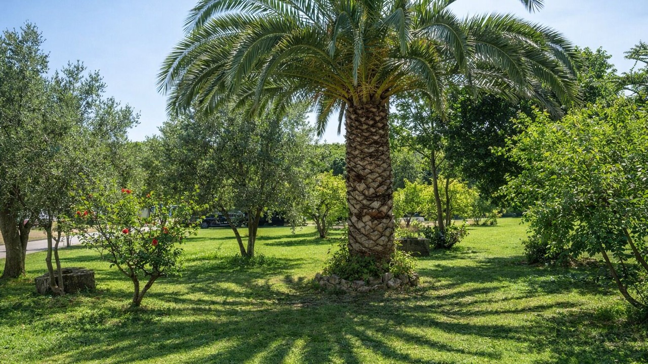 Photo of Outdoor in Sas Linnas Siccas