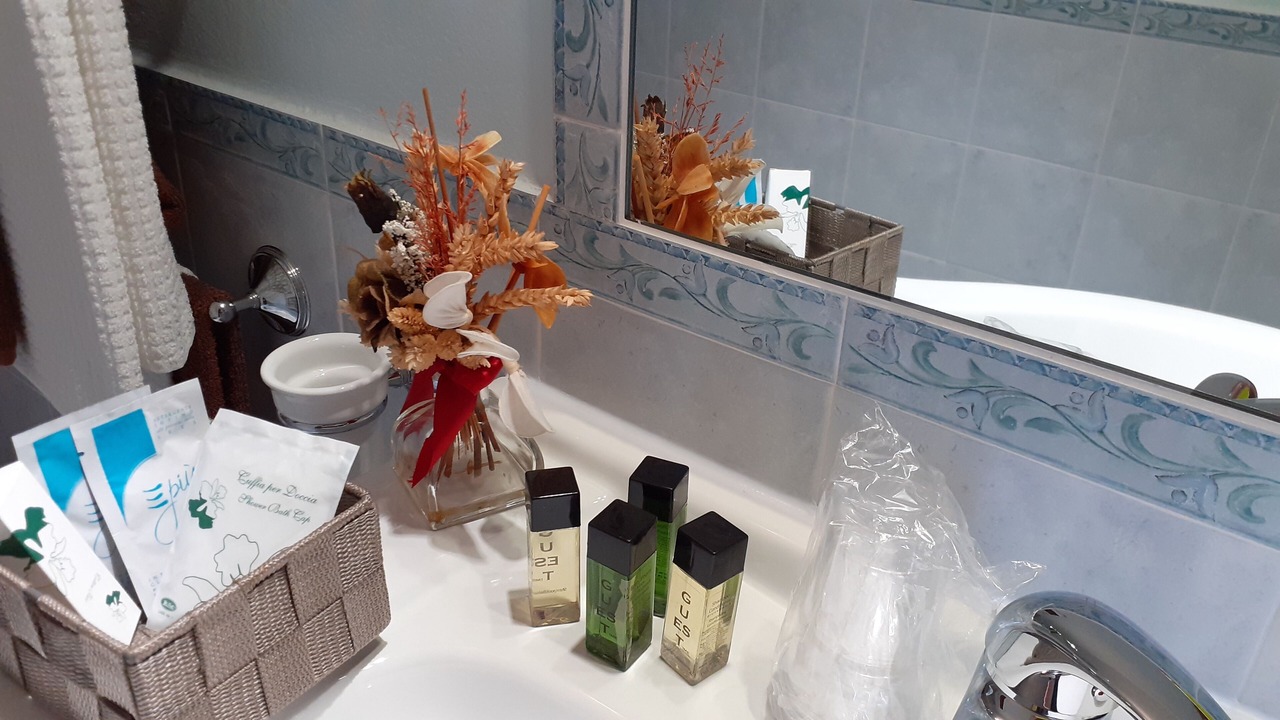 Photo of Bathroom in Buddittogliu Straulas