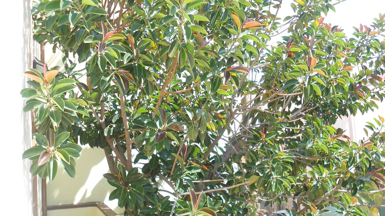 Photo of Outdoor in Golfo Aranci