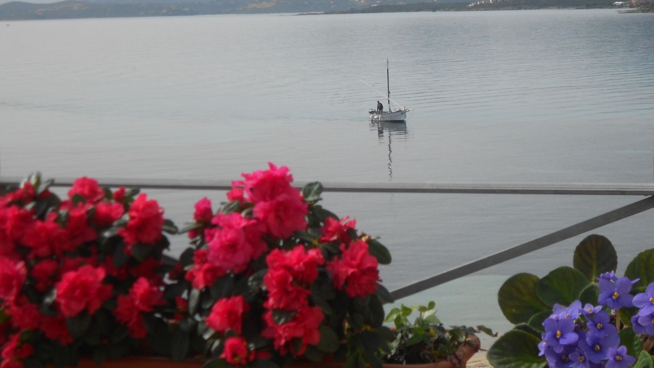 Photo of Outdoor in Golfo Aranci
