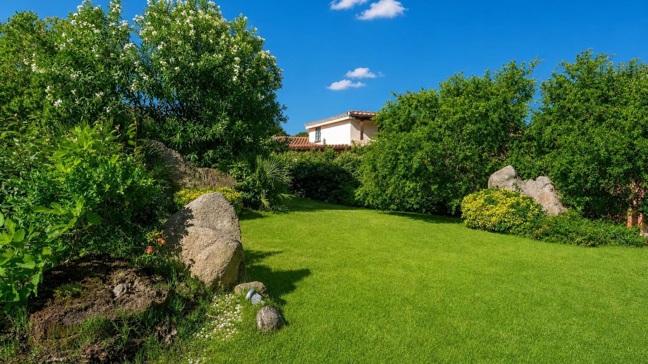 Photo of Outdoor in Palau