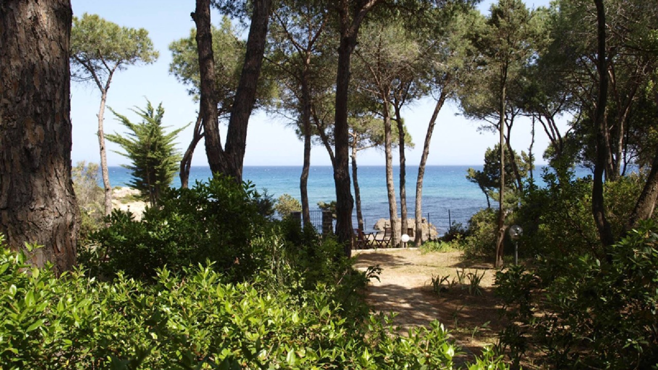 Photo of Others in Cala Liberotto