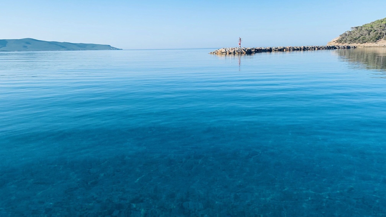 Photo of Others in Porto Pino