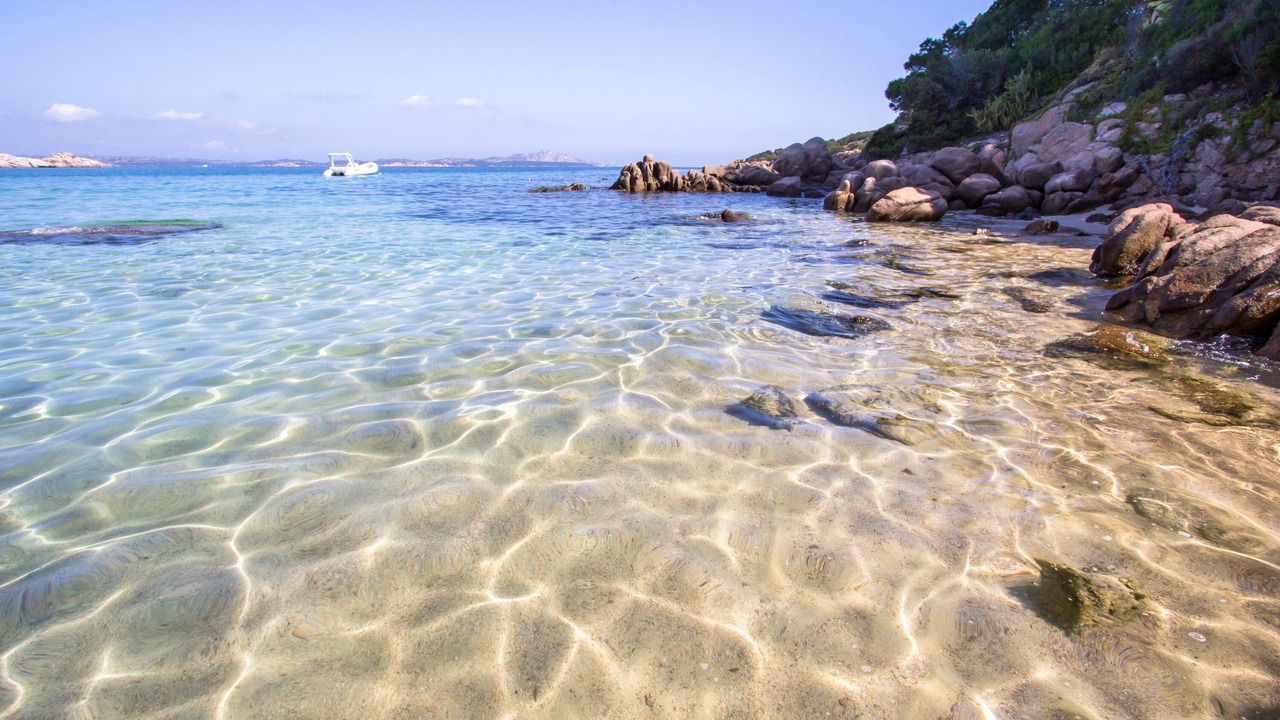 Photo of Others in Baja Sardinia
