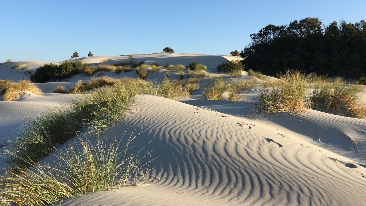 Photo of Outdoor in Porto Pino
