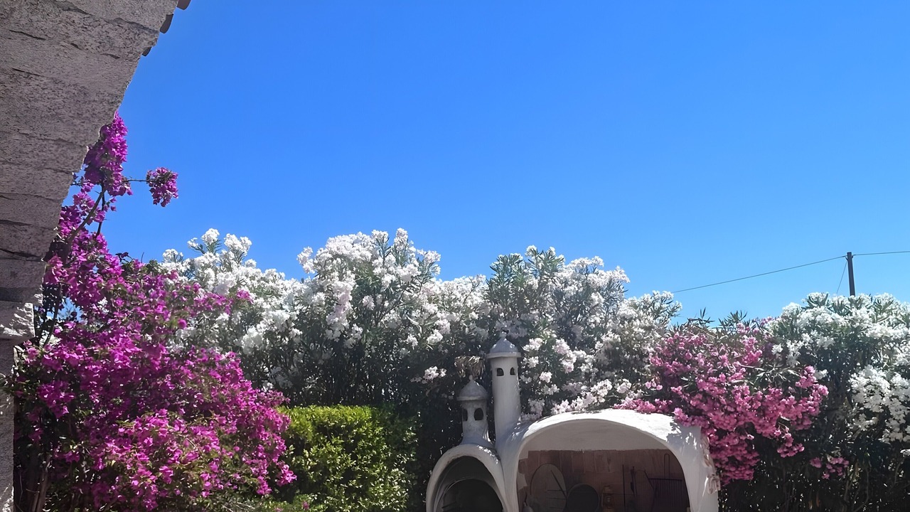 Photo of Outdoor in Orosei