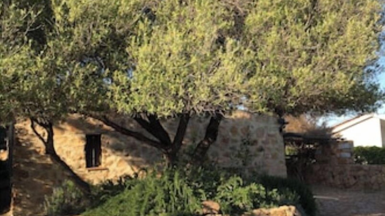Photo of Outdoor in Orosei