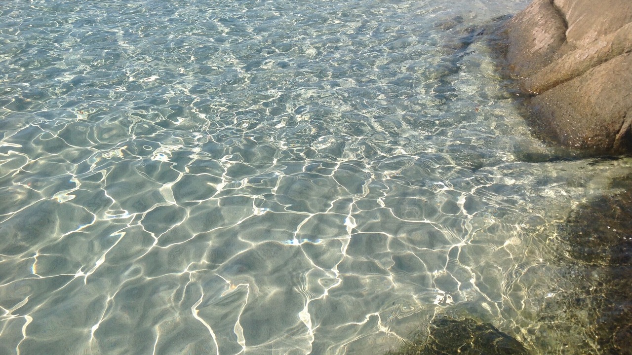 Photo of Others in Lido