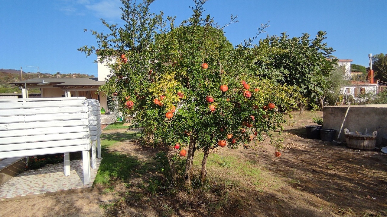 Photo of Others in Castiadas