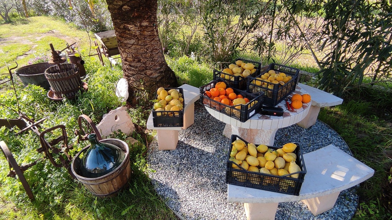 Photo of Outdoor in Castiadas