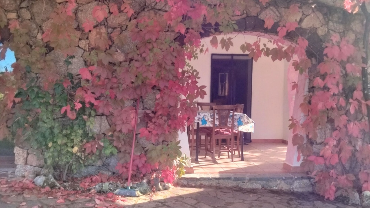 Photo of Outdoor in Dorgali