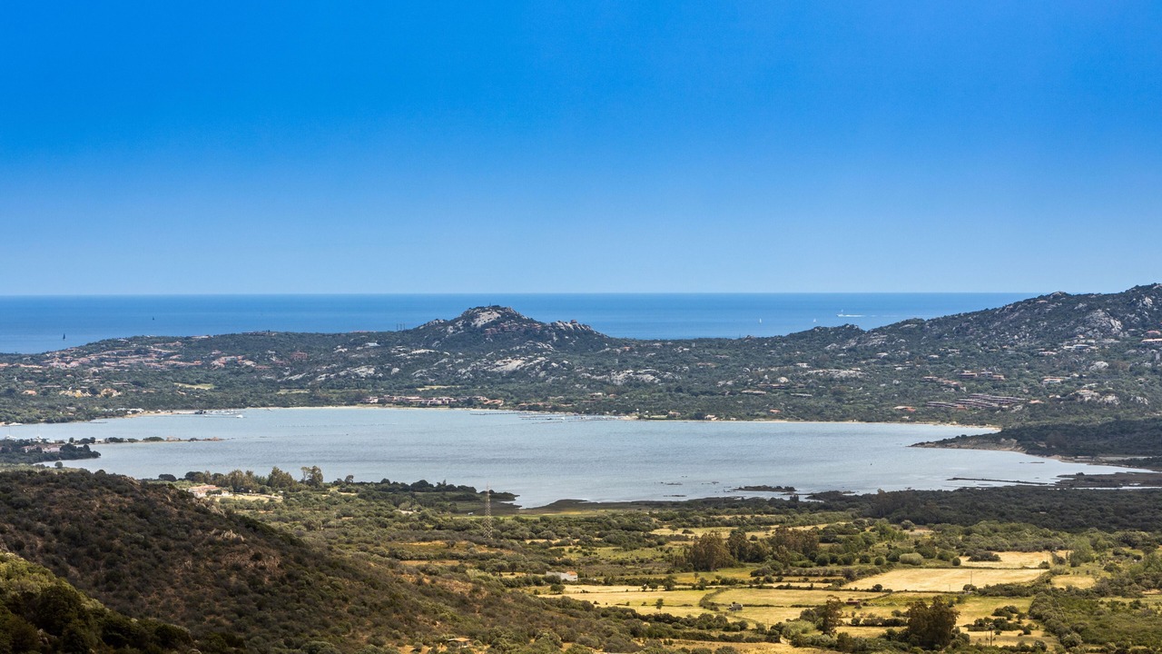 Photo of Others in Olbia