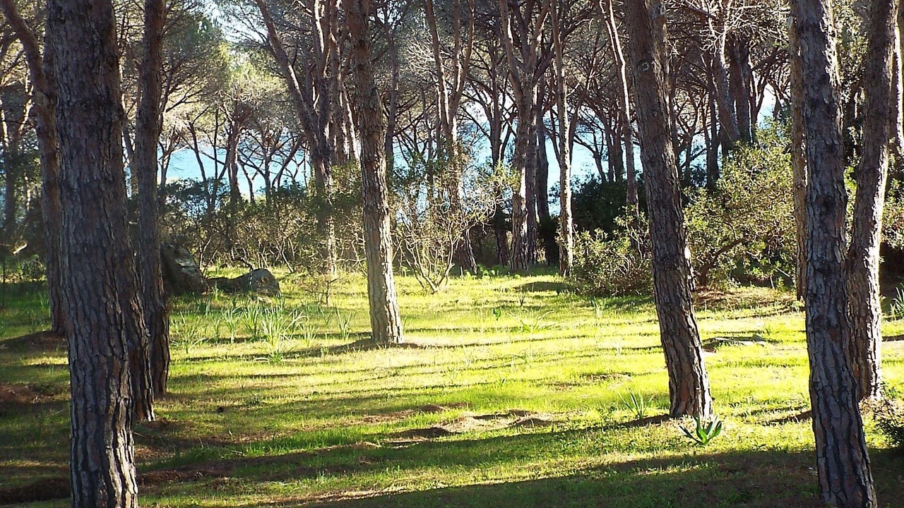 Photo of Outdoor in Porto Ottiolu