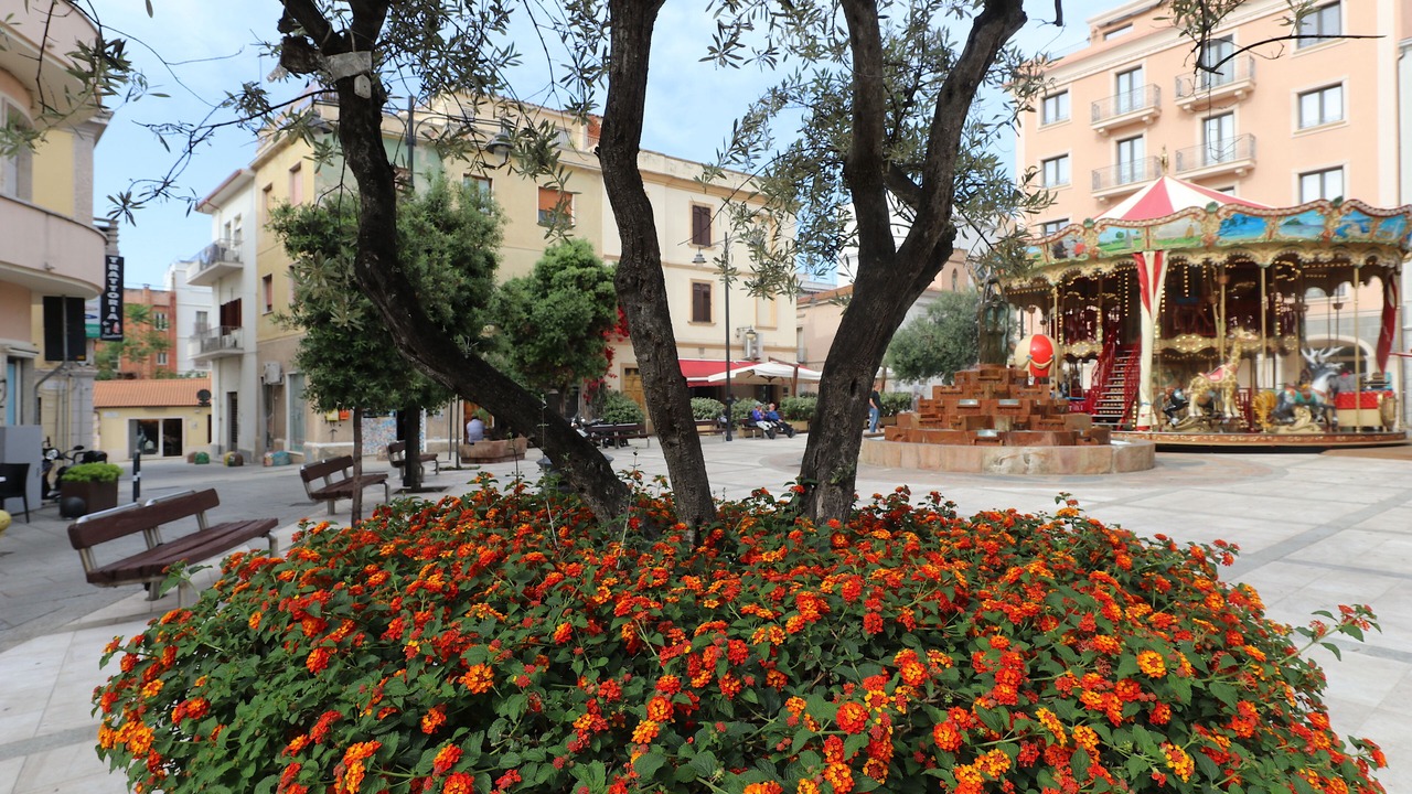 Photo of Others in Olbia City Centre