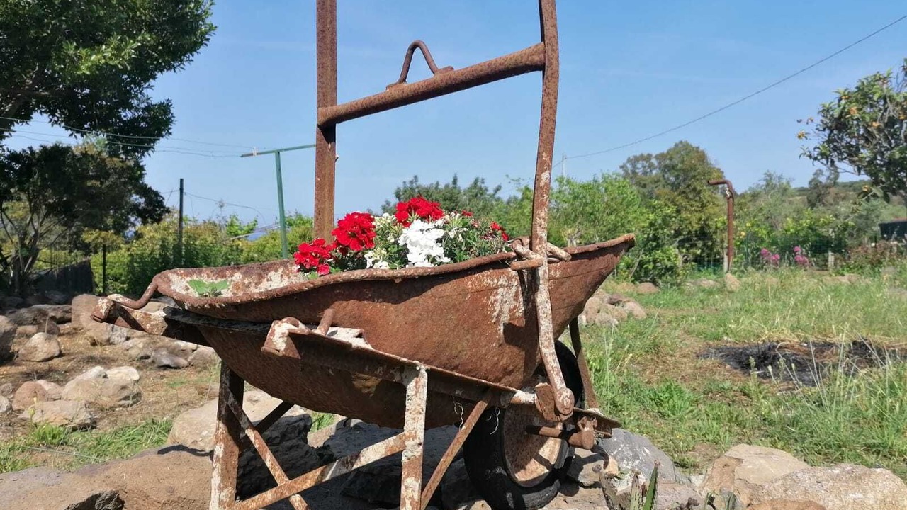 Photo of Outdoor in Bari Sardo