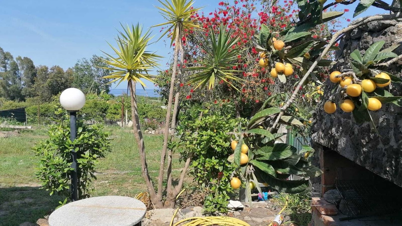 Photo of Outdoor in Bari Sardo
