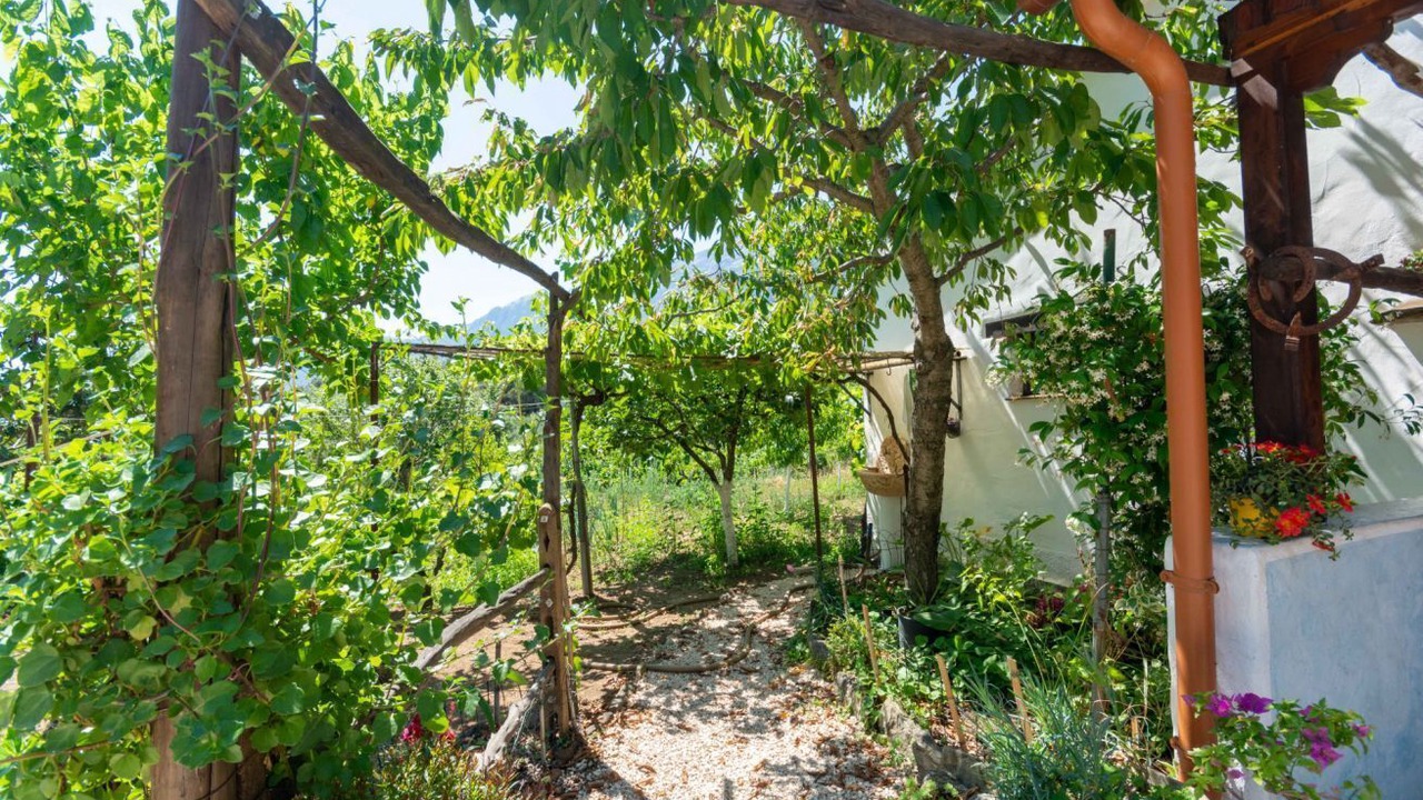 Photo of Outdoor in Oliena