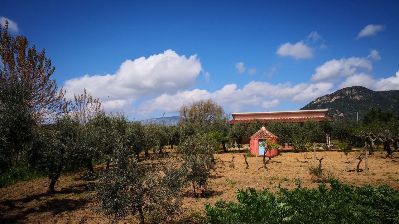 Photo of Others in Oliena