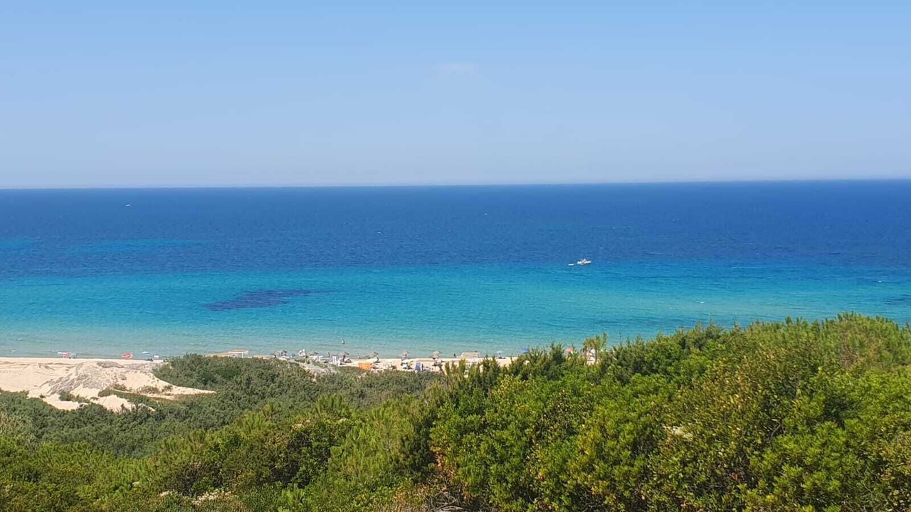 Photo of Others in Aglientu