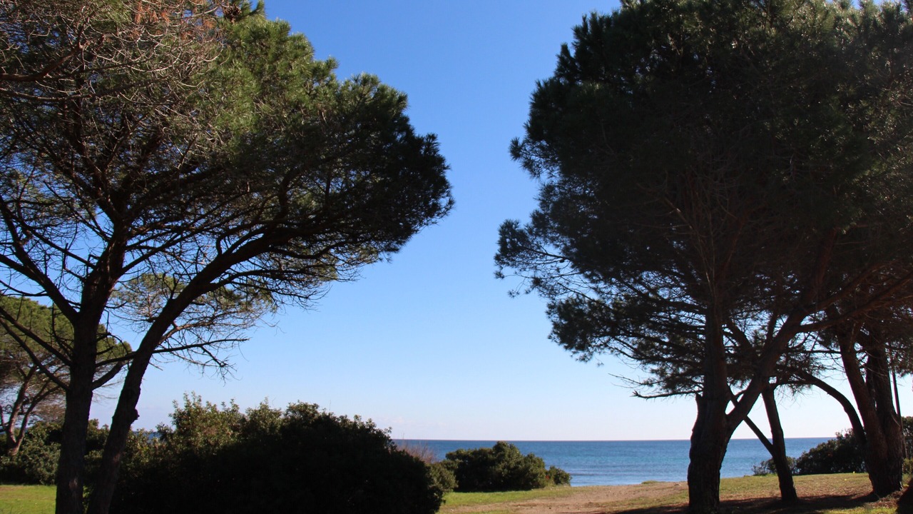 Photo of Others in Baia Sant'Anna
