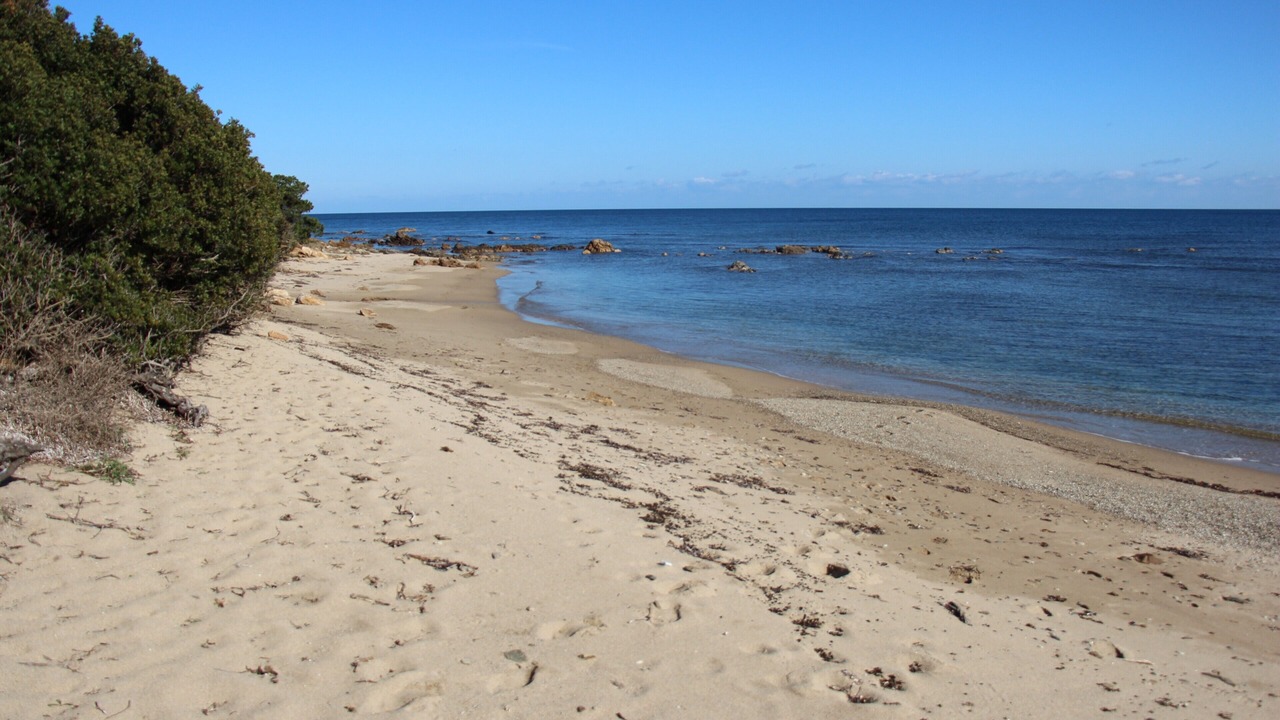 Photo of Others in Baia Sant'Anna