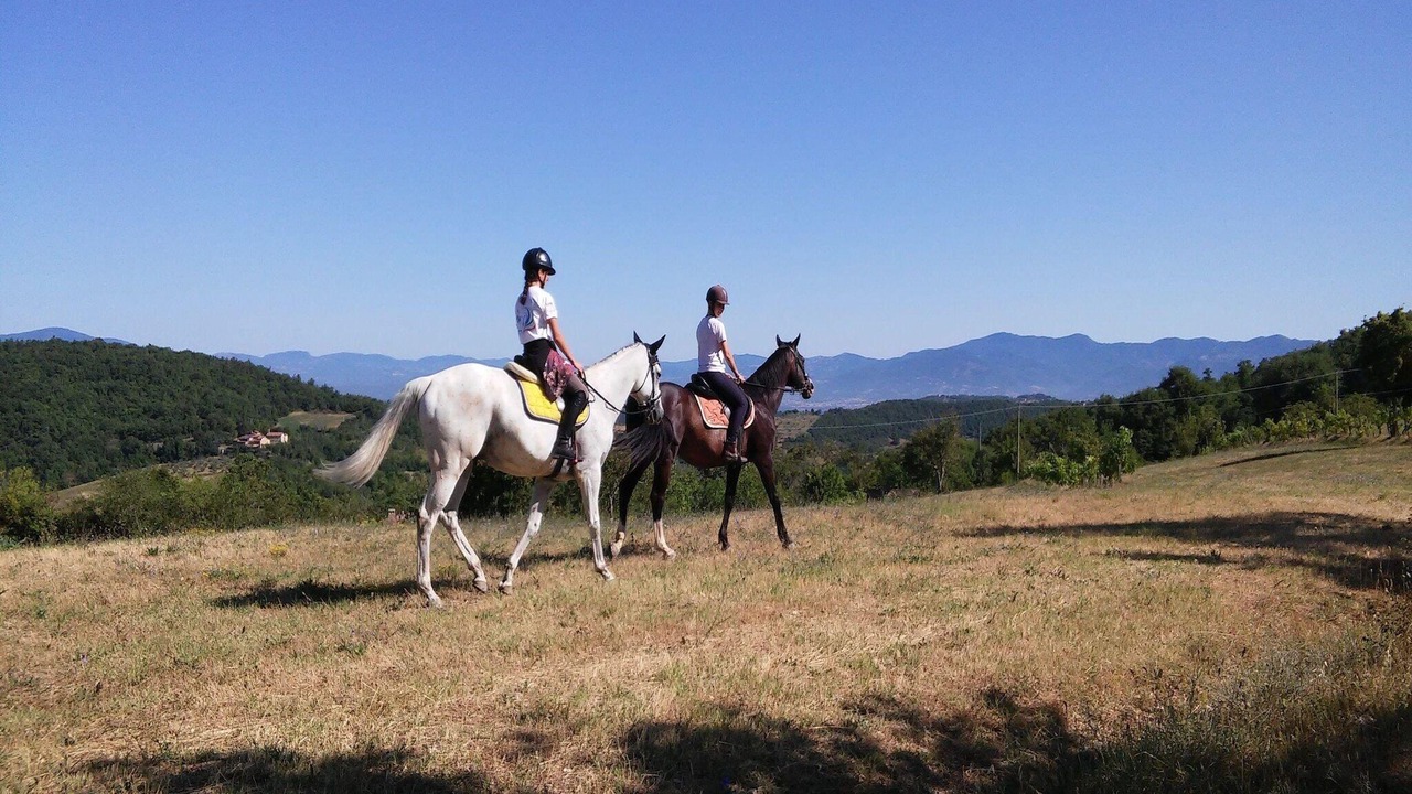 Photo of Others in Monte Santa Maria Tiberina