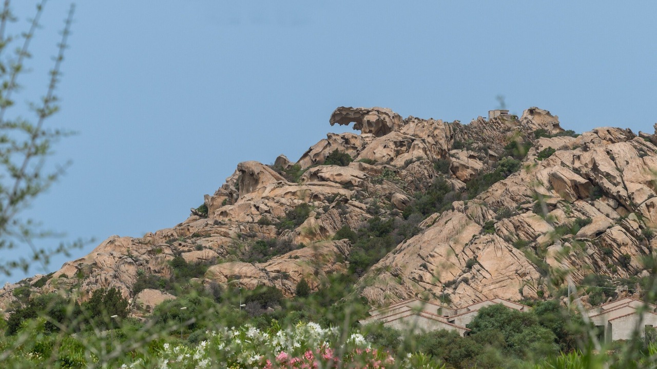 Photo of Others in Capo d'Orso