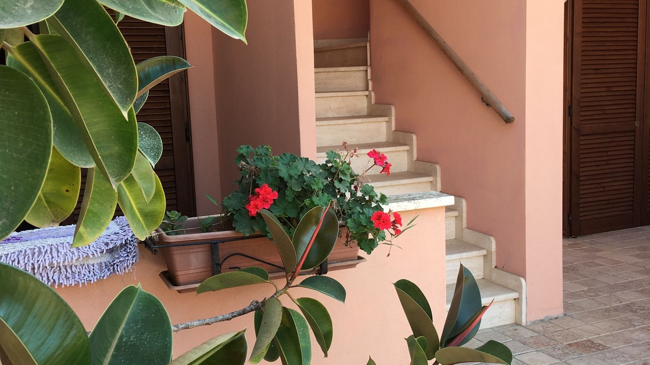 Photo of Outdoor in Torre Grande