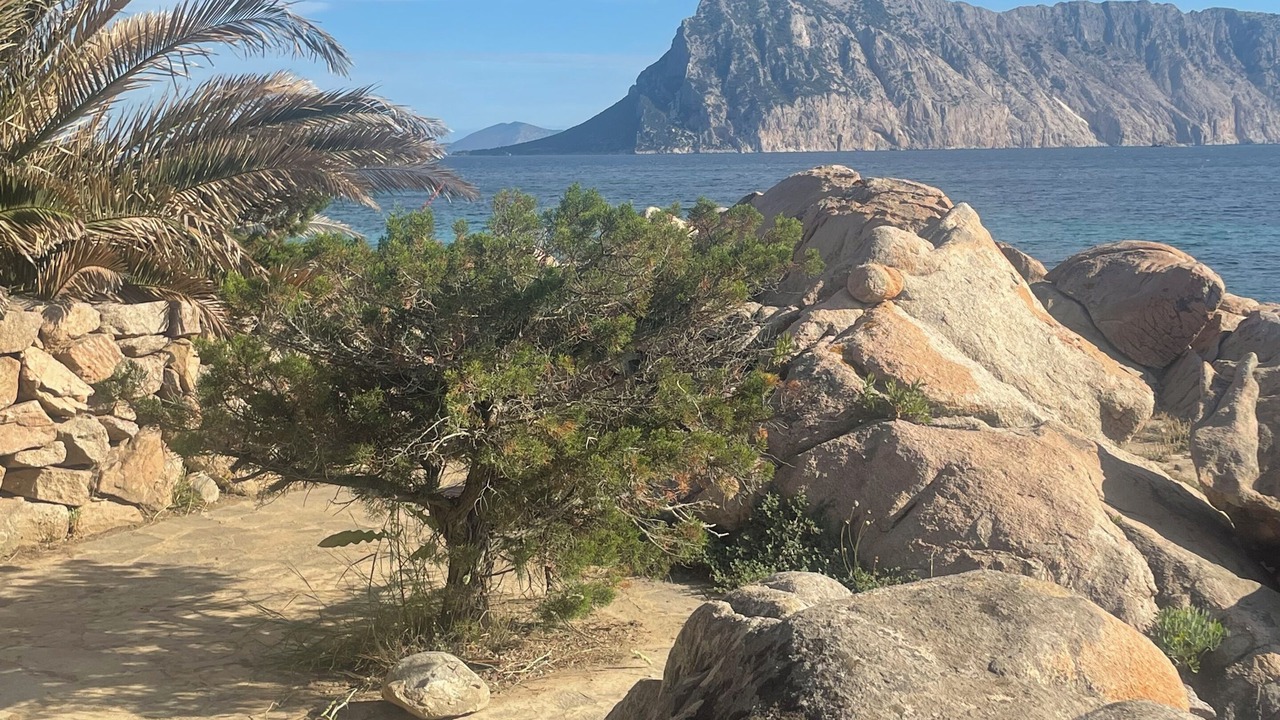 Photo of Others in San Teodoro