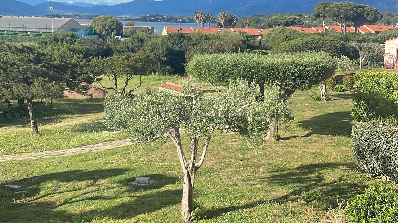Photo of Outdoor in San Teodoro